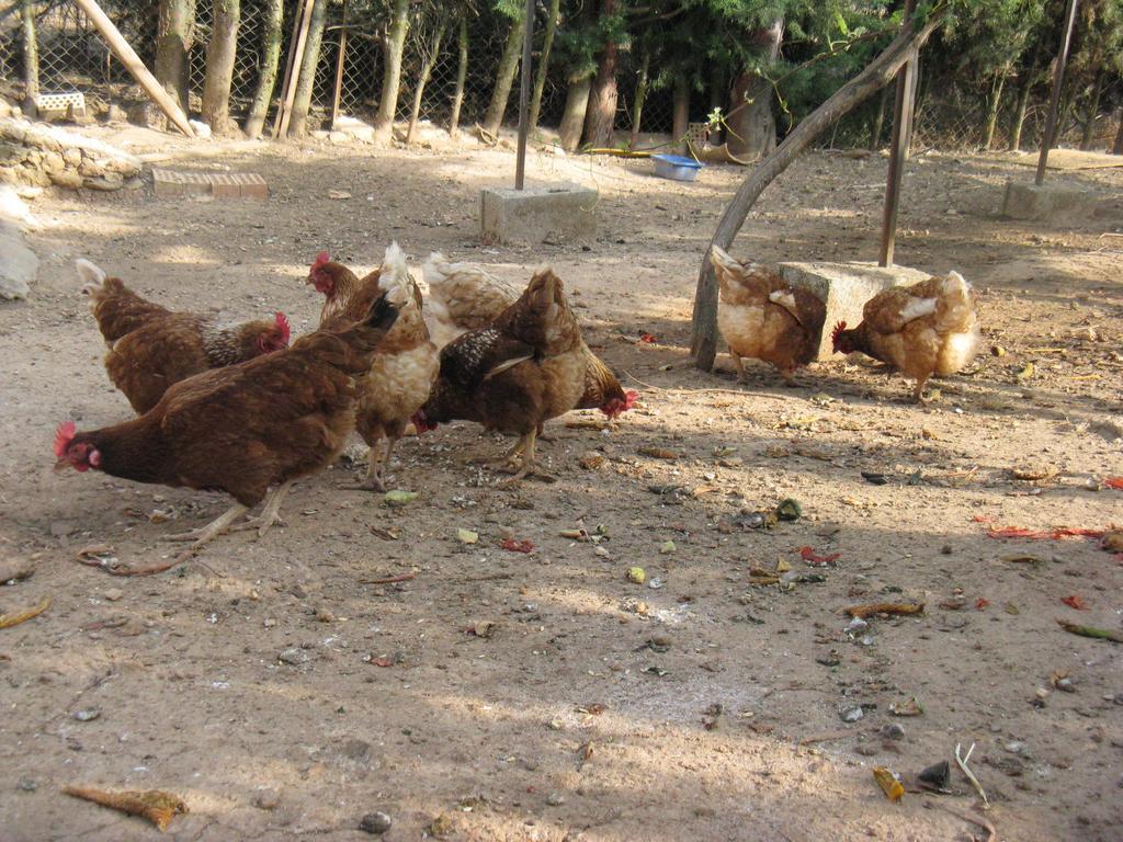 Finca Los Pinos Villanueva del Rosario Ngoại thất bức ảnh
