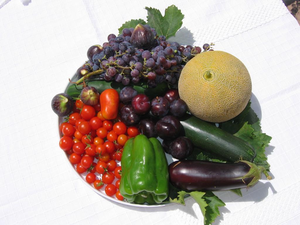 Finca Los Pinos Villanueva del Rosario Ngoại thất bức ảnh