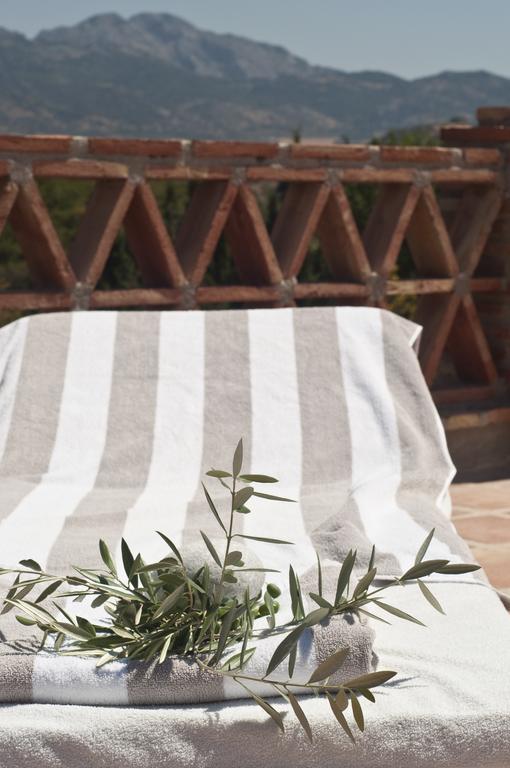 Finca Los Pinos Villanueva del Rosario Ngoại thất bức ảnh